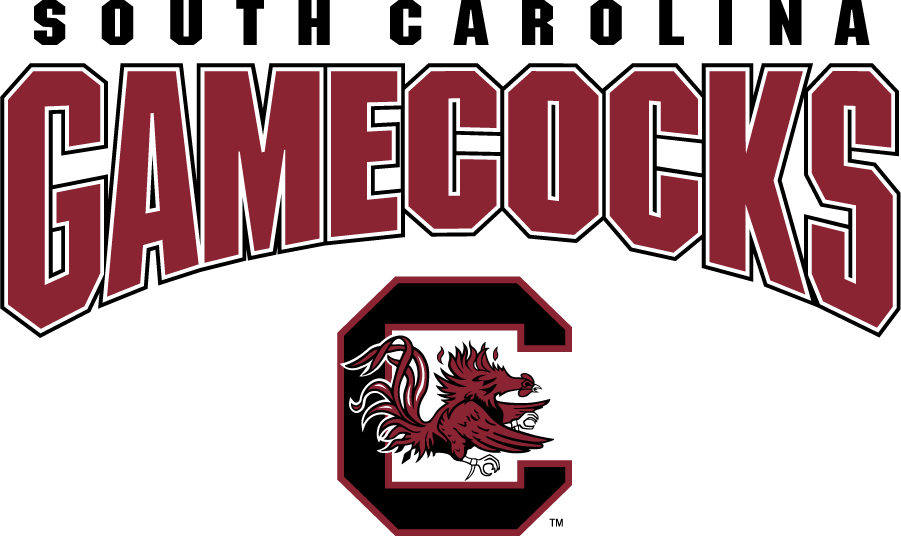 South Carolina Gamecocks 2008-2018 Alternate Logo v2 diy iron on heat transfer